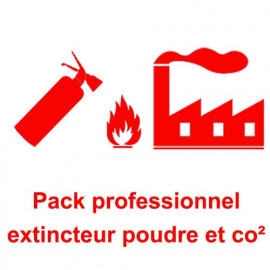 Extincteur à poudre ABC de 6 kg - 1001 Fêtes